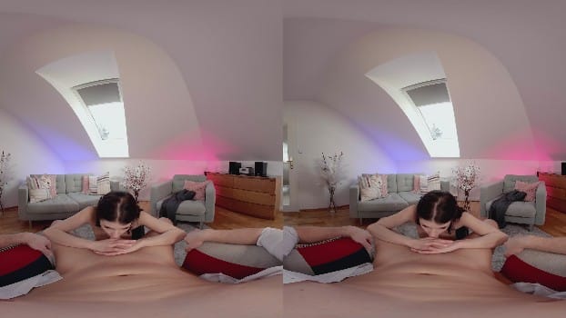 [XSinsVR.Com / Sinsvr] Sophie Weber - Brunette Loves Anal / Teen Loves Anal [08.04.2025] (2048p X265 Hi10p) 33
