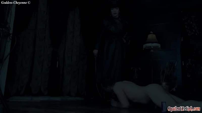 Goddess Cheyenne - Gagging Cum Licker 5