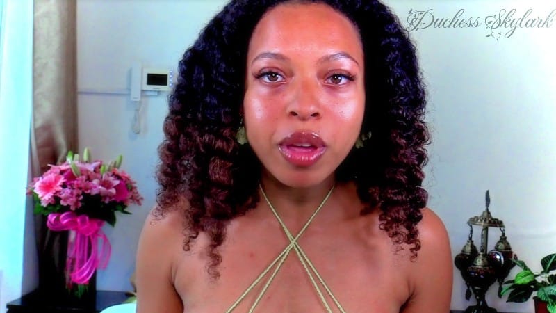 Master Skylark The Face You Worship 2