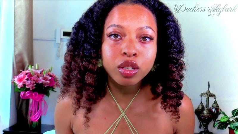 Master Skylark The Face You Worship 3