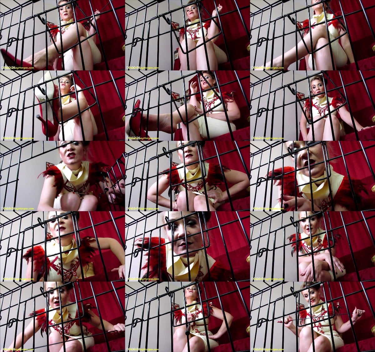 Miss Whitney Morgan - Caged At Miss Whitney Morgans Feet Pov 6