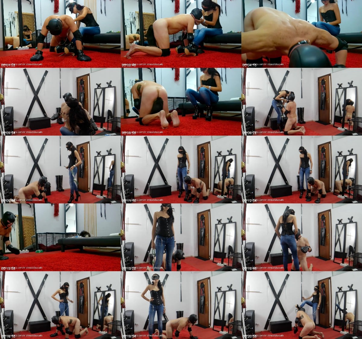 Mistress Isis Spain - Exclusive Mistress - Dog Training 2 6