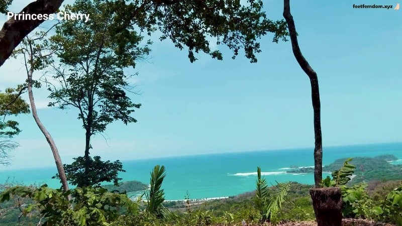 Prrincess Cherry - Vaca Cuck Cleanup 2