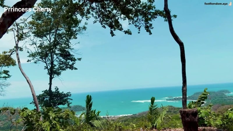 Prrincess Cherry - Vaca Cuck Cleanup 3