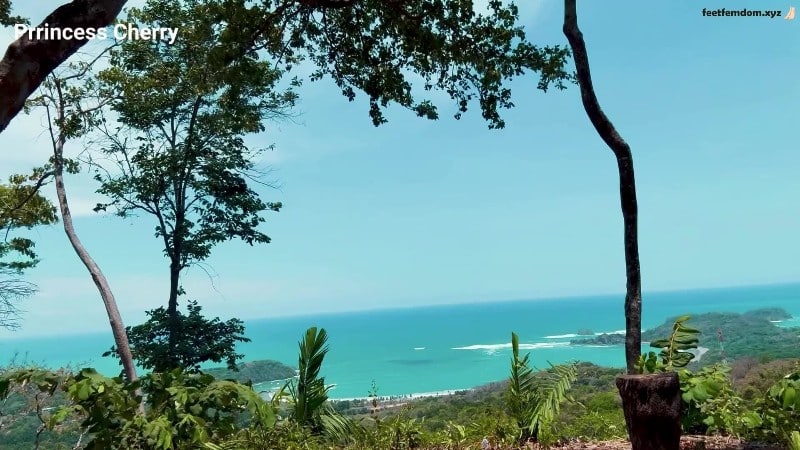 Prrincess Cherry - Vaca Cuck Cleanup 5