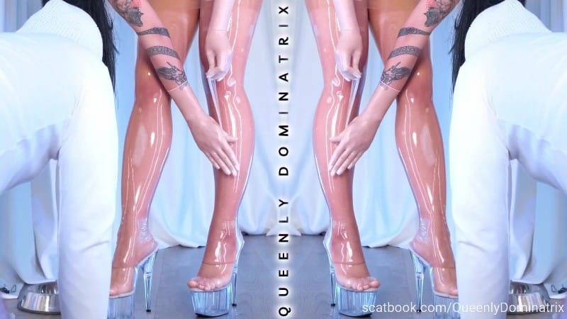 Queenly Dominatrix - Femdom Sanctum III 4