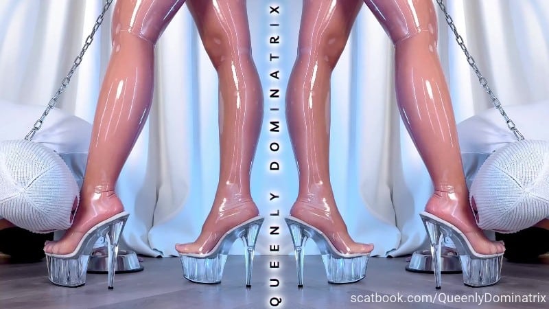 Queenly Dominatrix - Femdom Sanctum III 17