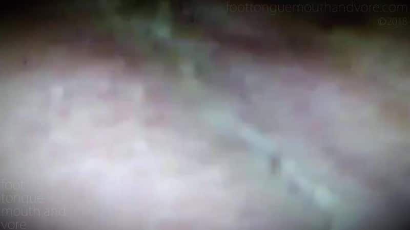 She Devil Quick Snack 60 Fps 5