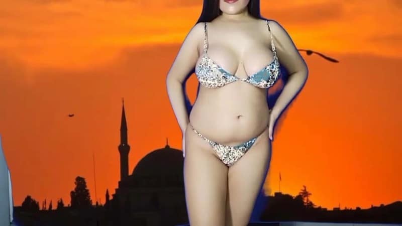 Yasmin - Barakah Shaytana Feekum AntiIslamic Propaganda 2