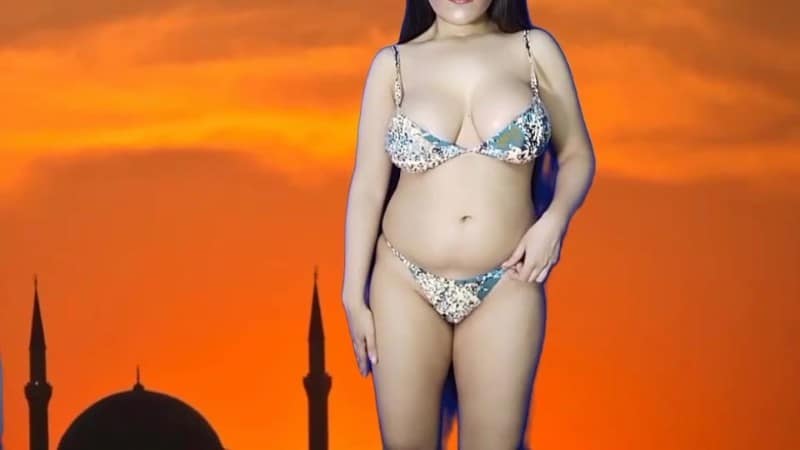 Yasmin - Barakah Shaytana Feekum AntiIslamic Propaganda 3
