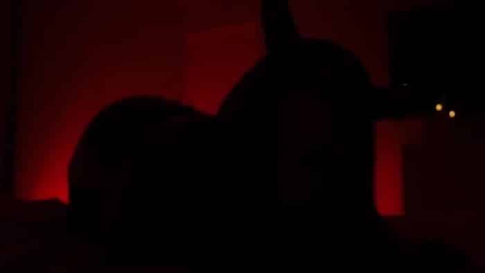 Bunibun - Mommy Is A Demon Succubus 1