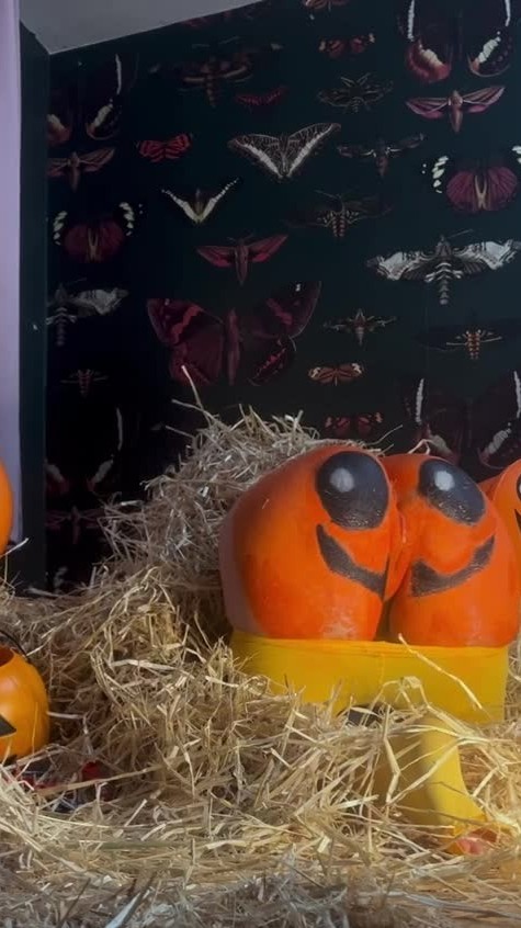 Cumshots & Creampies - October 6, 2025 Creampie In Pumpkin Patch 2