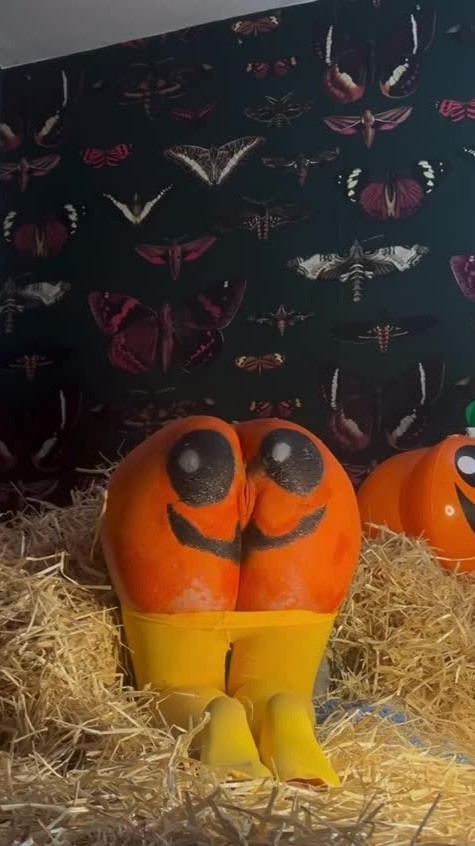 Cumshots & Creampies - October 6, 2025 Creampie In Pumpkin Patch 5