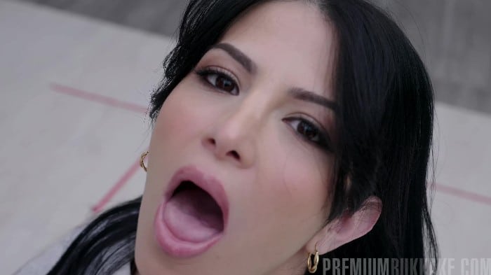 Cumshots & Creampies - October 25, 2025 Pb 420 Stefy Martinez 1 Bukkake Goodbye 2