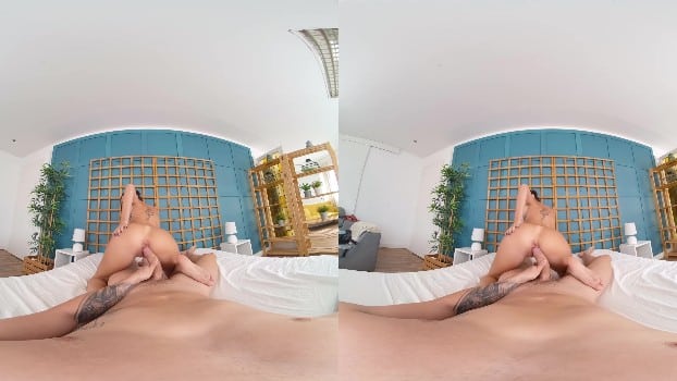 Realjamvr - Anal Consolation By Rossa Vaxx (2025.10.28) (gearvr) 3