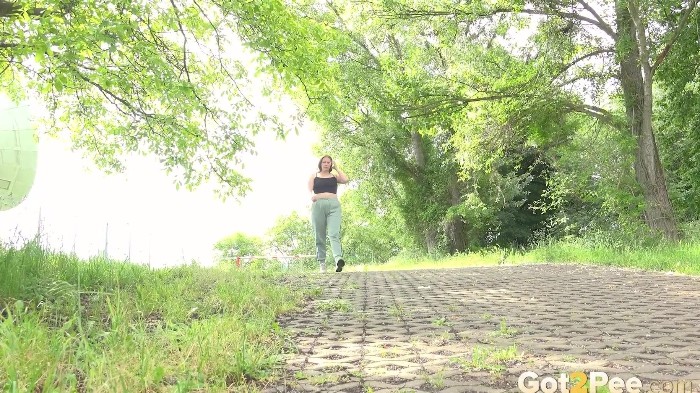 Bangbros January-December 2020 1080p H265 1