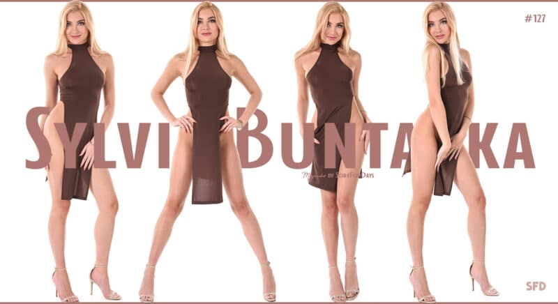 Sylvia Buntarka / Sylvia Blunt Leaks Pornstar Collection tezfiles [30 VIDEO / 72 GB] 3