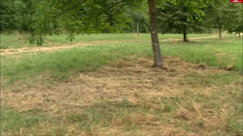 Betty-Baxter - Krankenschwester Kim fistet 2