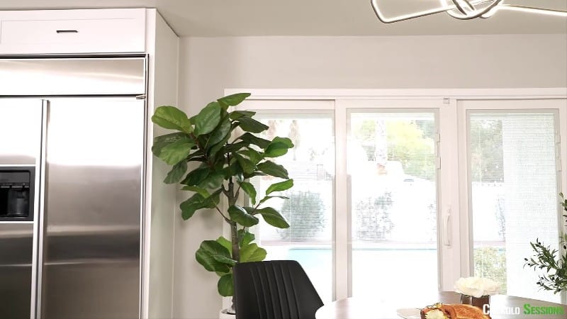 CuckoldSessions - Gypsy Rose s Real Lunch 1