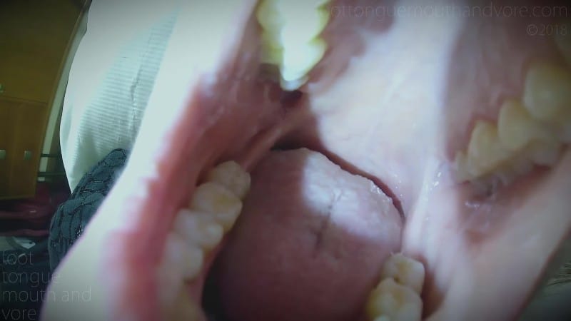 Diente Fuer Einer Geschaeftsfrau Als Essen Served To A Business Woman As Food 4