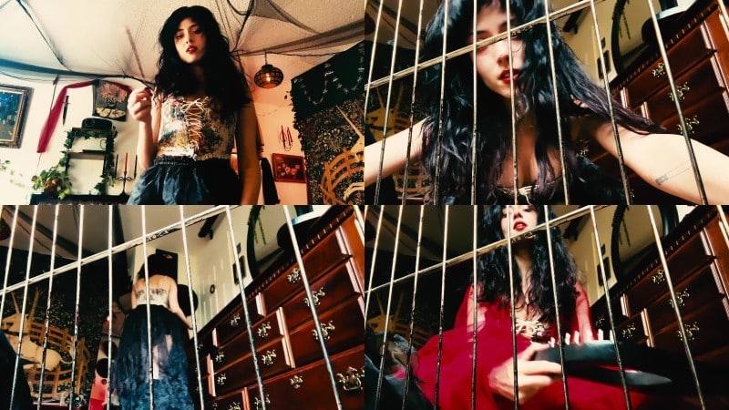 EnchantrixV - Enchanting You Into a Pet 1