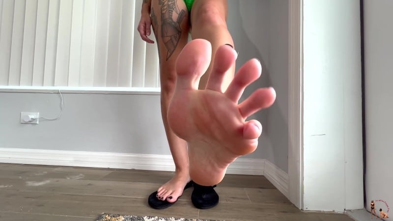 Femdom Puppy Play - MILF MJ Makes The Neighbor Her 5