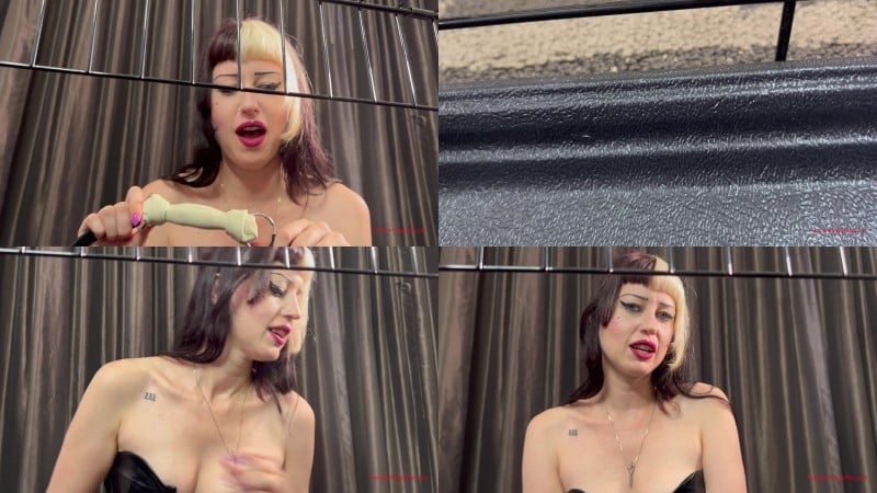 Mistress - December 8, 2025 Femdom Puppy Play - Mistress Angel Cages Her Slave 3