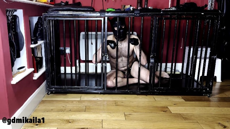 Goddess Mikaila - Bitch in a Cage 4