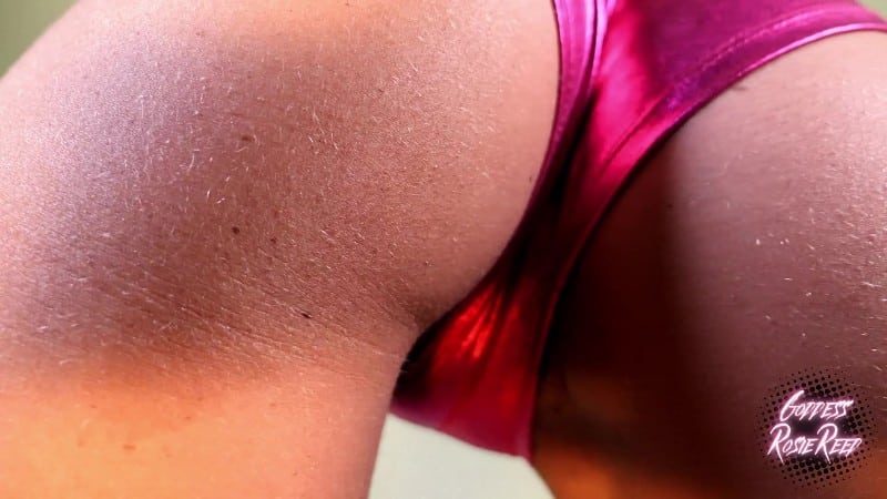 Goddess Rosie Reed - Rosie s no nut november - No Ass No Pussy 1