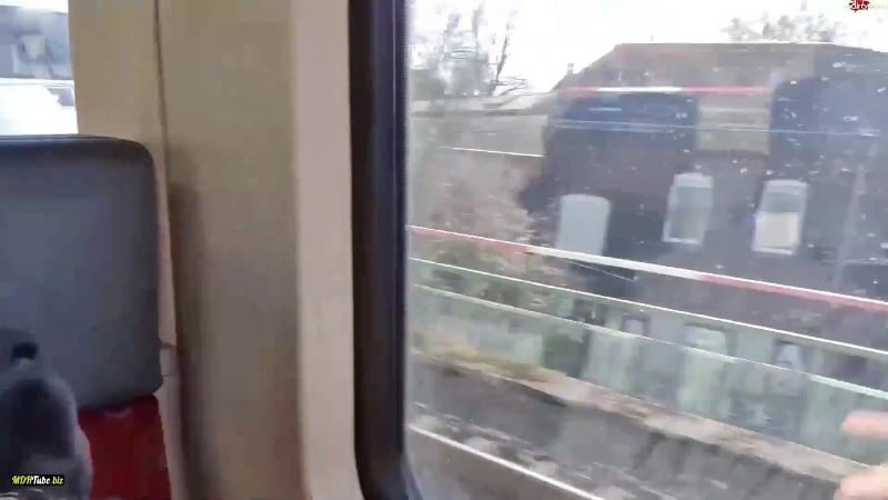 Lisa-Sack - Megakrank - Fahrgast dreht voellig durch und benutzt mich mitten in der S-Bahn 4