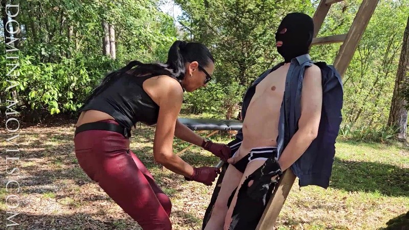 MADAME CATARINA - CRUELEST BEAUTY - The Housebreaker-istress - Chapter TWO 4