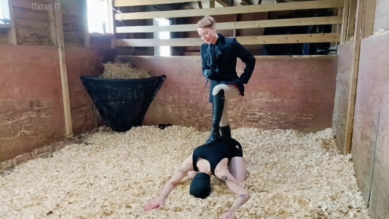 Madam M - Savage Stables Stomping dressage cropping skin scraping and humiliating beatdowns for the stable boy 4