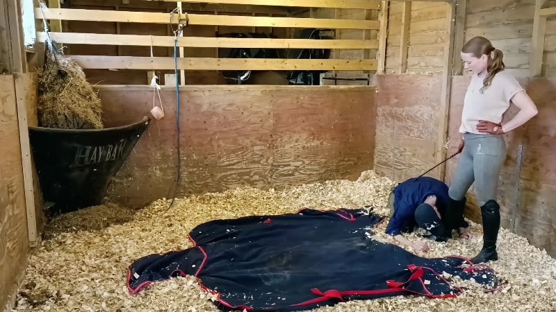 Madam M Cropped Crushed Wrangled and Rolled trampled humiliated and discarded in extreme stable discipline 2