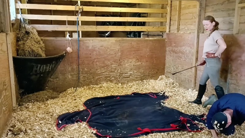 Madam M Cropped Crushed Wrangled and Rolled trampled humiliated and discarded in extreme stable discipline 3