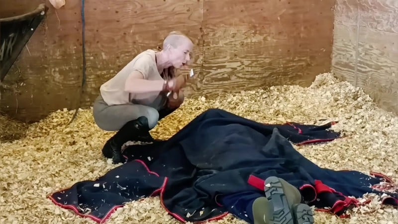 Madam M Cropped Crushed Wrangled and Rolled trampled humiliated and discarded in extreme stable discipline 4