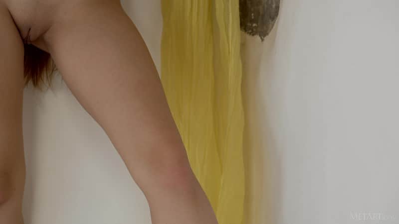 MetArt 25/11/16 Shelena Interview 2 4k 5