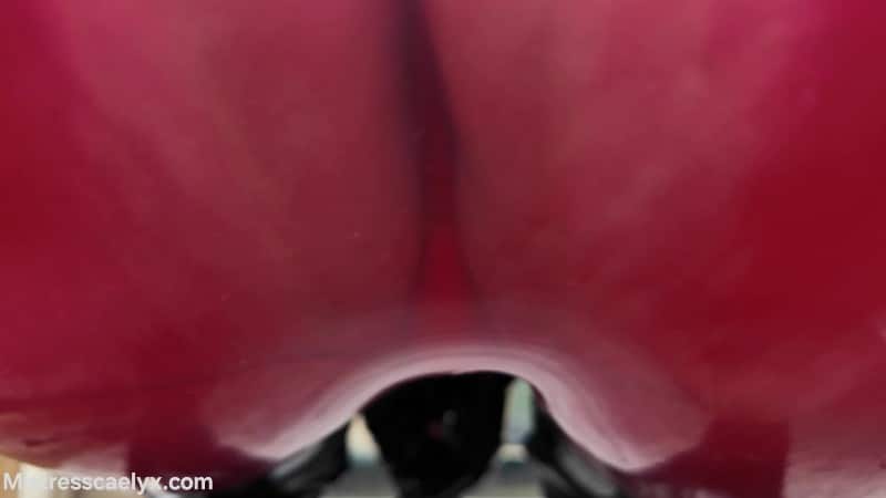 Mistress Caelyx - Shrunken and bullied by 2 giant bitches 5