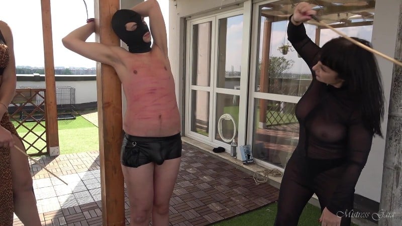 Mistress Gaia - Caning Babes 3
