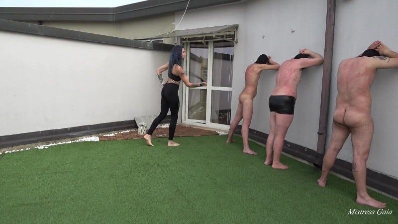 Mistress Gaia - Whipping The Wall 4