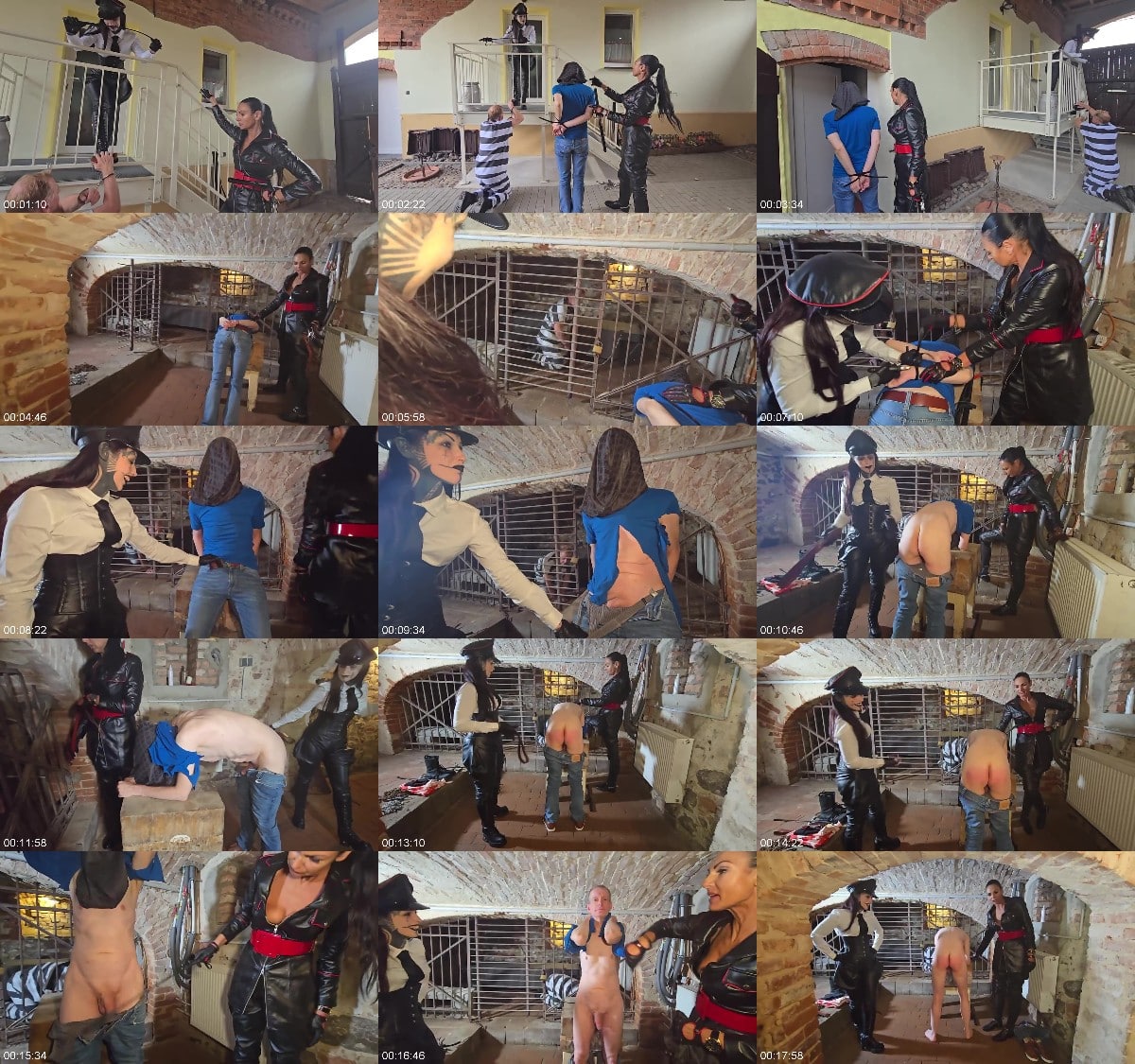 Mistress Lunatika - Hidden Torment Farm Part 1 6