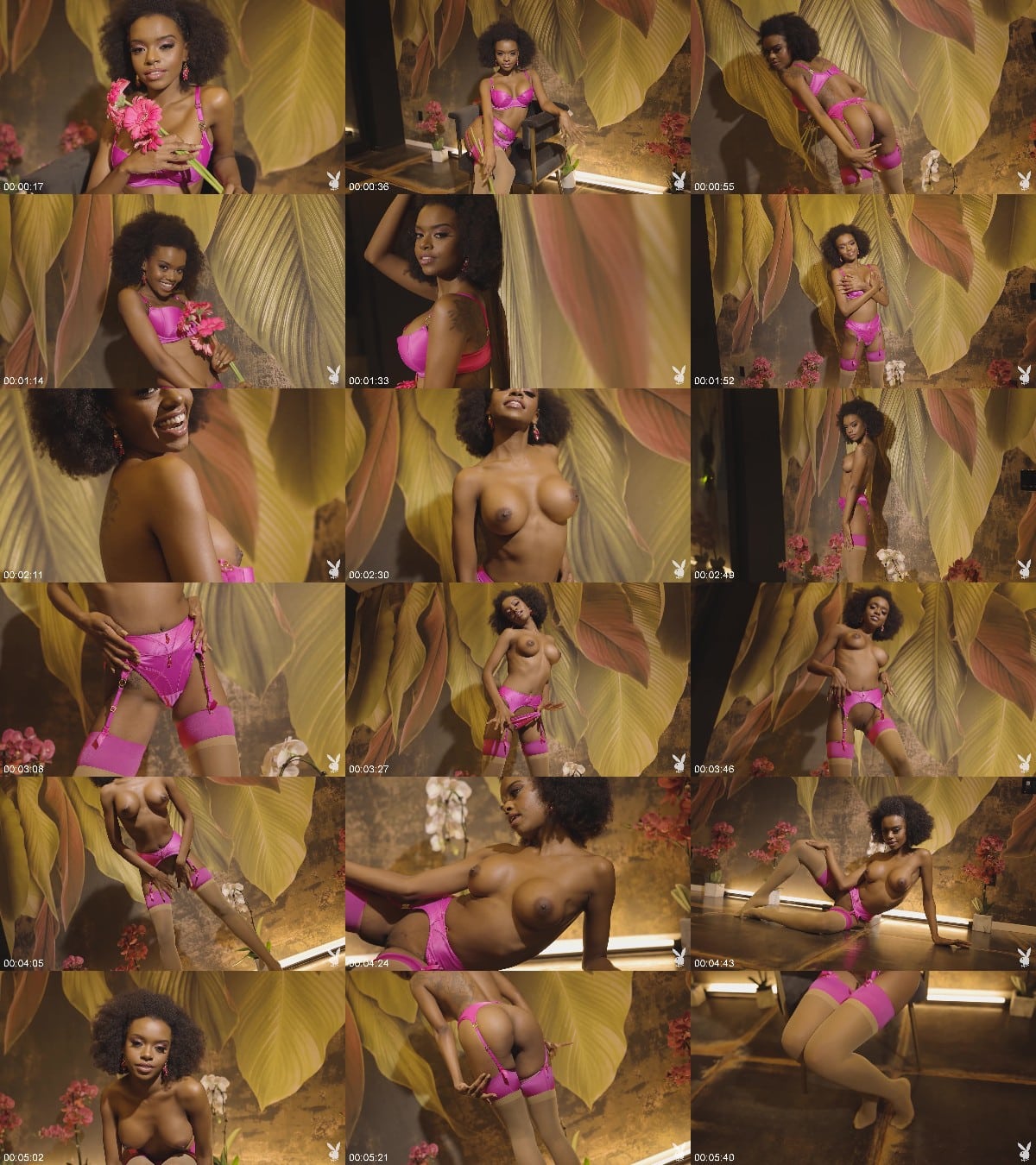 PlayBoy - Muse Naadia - Budding Love 2