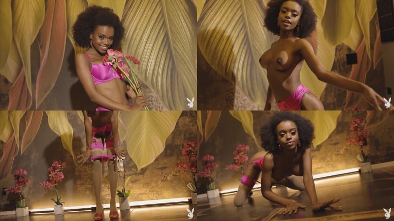 PlayBoy - Muse Naadia - Budding Love 1