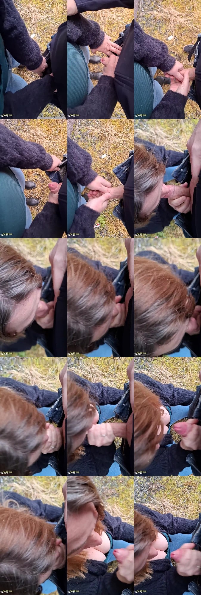 Roxxy undHerrFigsy - Geiler Spaziergang mit Blowjob und abgesahnt 6