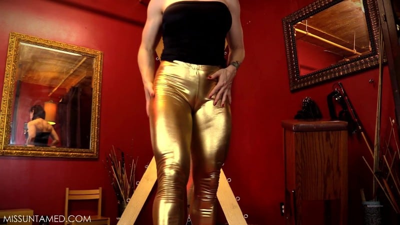 Shiny Gold Legging Tease 2