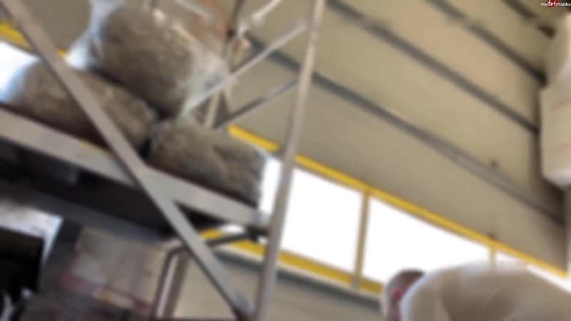 SteffiBlond - Baumarkt sauerei - Was passt besser rein Pinsel oder Zollstock Erstmal Revier markieren 4