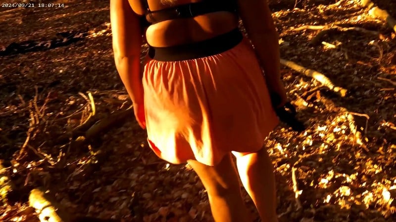 SweetChloe - Waldvibrationen 2