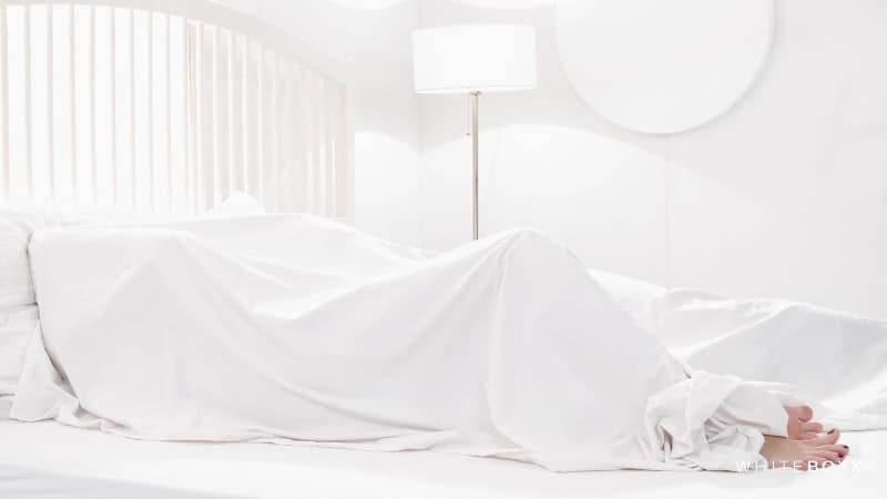 TheWhiteBoxxx 22 08 14 Stacy Cruz FullHD 1