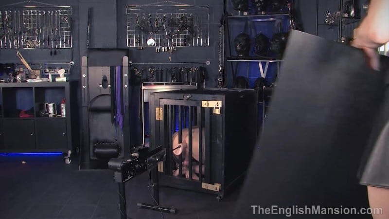 The English Mansion - Fuck In The Box - Complete Movie Featuring Mistress Sidonia 4