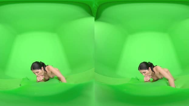 Czechar 035 - Raven-Haired Beauty's Booty Call - Lady Dee (2025.11.26) (gearvr) 2