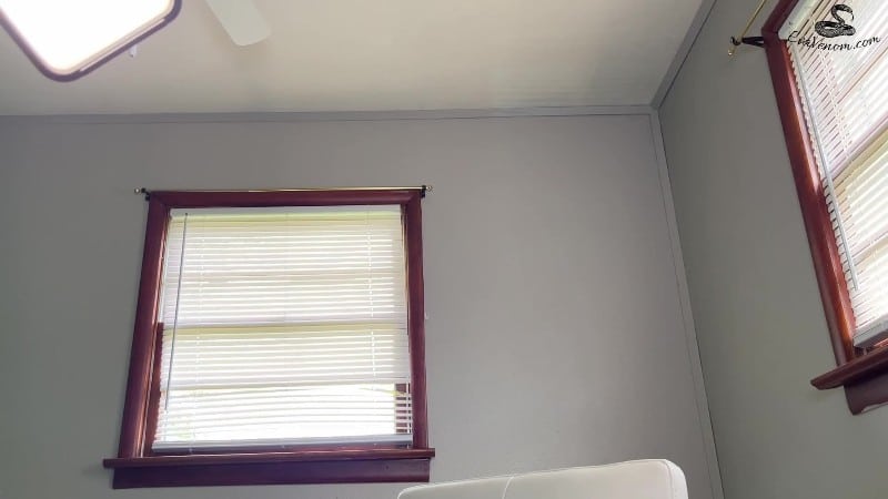 evavenom - Latex Dentist Fills Your Cavity 3